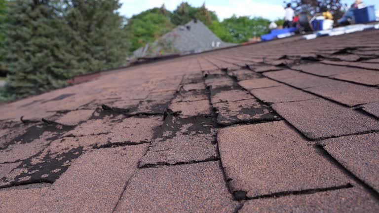 Best Gutter Installation and Repair  in Spring Grove, IL