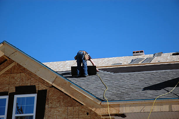Best Roof Moss and Algae Removal  in Spring Grove, IL