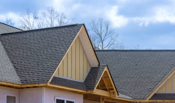 Best Metal Roofing Installation  in Spring Grove, IL