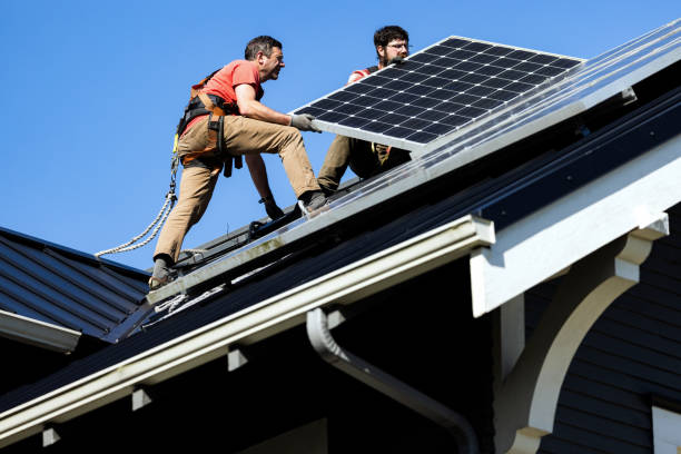 Best Sheet Metal Roofing  in Spring Grove, IL