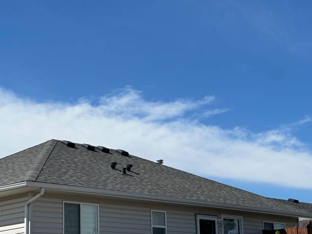 Best Solar Panel Roofing Installation  in Spring Grove, IL