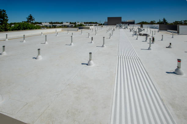 Best Roof Coating and Sealing  in Spring Grove, IL